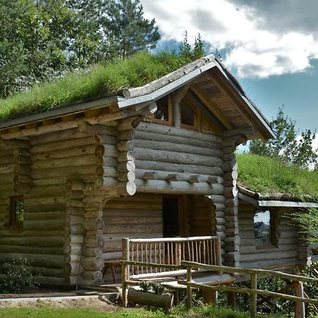 La Cabane De Hans Saint-Martial-de-Gimel Exteriér fotografie